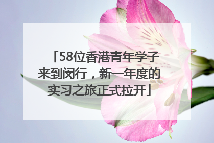 58位香港青年学子来到闵行，新一年度的实习之旅正式拉开