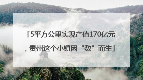5平方公里实现产值170亿元，贵州这个小镇因“数”而生