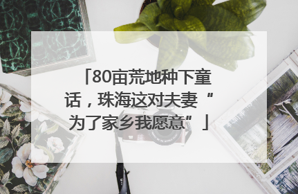 80亩荒地种下童话，珠海这对夫妻“为了家乡我愿意”