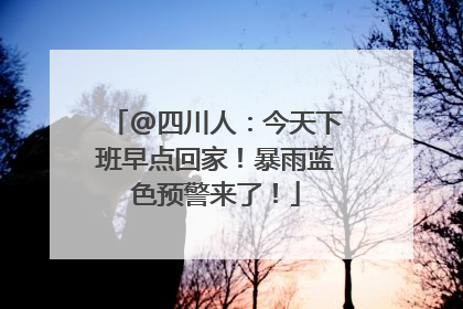 @四川人：今天下班早点回家！暴雨蓝色预警来了！