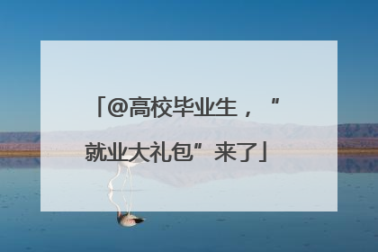 @高校毕业生，“就业大礼包”来了