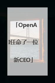 OpenAI任命了一位新CEO