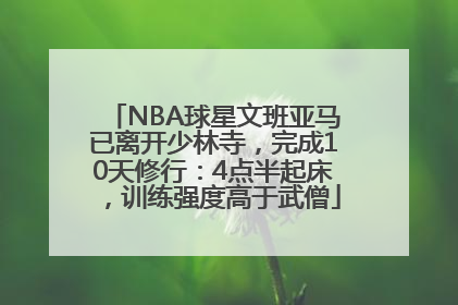 NBA球星文班亚马已离开少林寺，完成10天修行：4点半起床，训练强度高于武僧