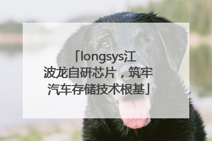 longsys江波龙自研芯片，筑牢汽车存储技术根基